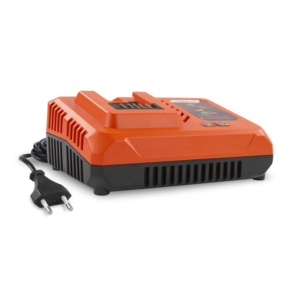 Charger 4.0A (20V & 2x20V batteries)