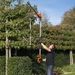 POWDPG7538 HAAGSCHAAR TELESCOPISCH 40V 600MM - EXCL. BATTERIJ 10