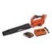 POWDPGSET36 SOUFFLEUR DE FEUILLES 20V - INCL. BATTERIE 20V 2.0 3