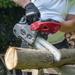 POWEG2005 KETTINGZAAG 25.4CC 250MM - 1 ACC. 8