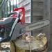 POWEG2030 TRONÇONNEUSE 56.5CC 500MM - 1 ACC. 8