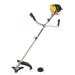 POWEG30408 BOSMAAIER 2-IN-1 42,7CC - 2 ACC. 2