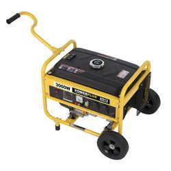 POWX513 GENERATOR 3000W 4