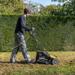 POWXG75160 SCARIFICATEUR - AERATEUR 1600W 360MM 7
