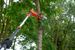 POWDPG75385 TELESCOPISCHE SNOERLOZE SNOEIZAAG 40V 250MM - EXCL 16