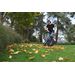 POWEG9011 BLADBLAZER/-ZUIGER 3000W 15