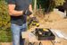 POWXB50020 JIGSAW BRUSHLESS 20V - INCL. BATTERY 20V 2.0AH AND 19