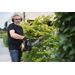 POWXG2016 TAILLE-HAIE 26CC 600MM 10