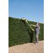 POWXG2042 TAILLE-HAIE TÉLESCOPIQUE 750W 560MM 12