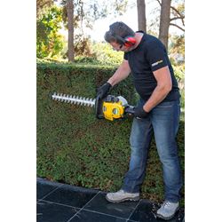 POWXG50300 TAILLE-HAIE 26.5CC 550MM À 4 TEMPS 13