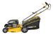 POWXG60245X TONDEUSE À GAZON AUTOTRACTÉE 170CC Ø 510MM 5
