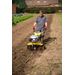POWXG7214 TUINFREES 173CC 11