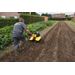 POWXG7217 TUINFREES 208CC + PLOEG 15